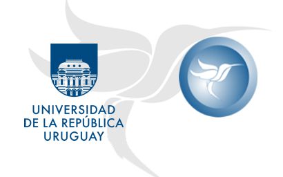 Logo UdelaR junto a otra imagen del símbolo de Colibrí